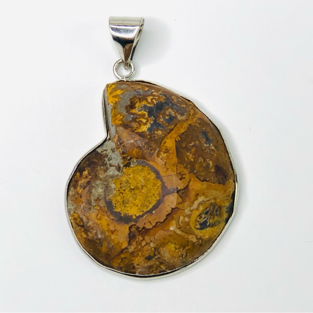 Natural Ammonite Fossil Pendant Charm for Your Own Necklace Choker 1.5" x 1.3"